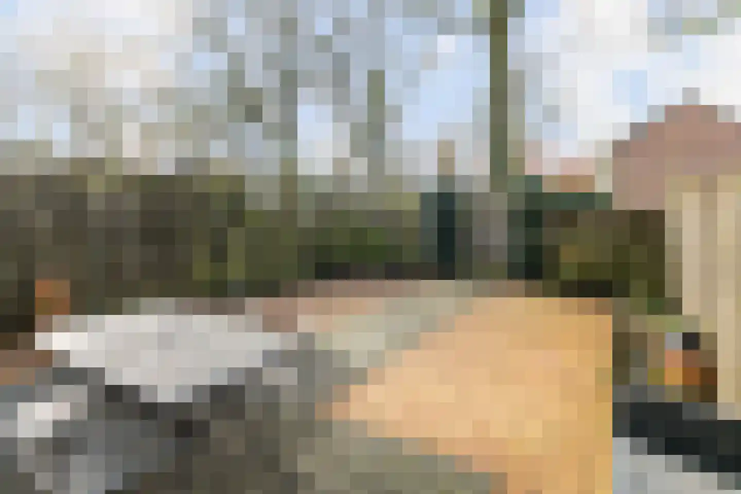 het Woold 72 Raalte thumbnail 27