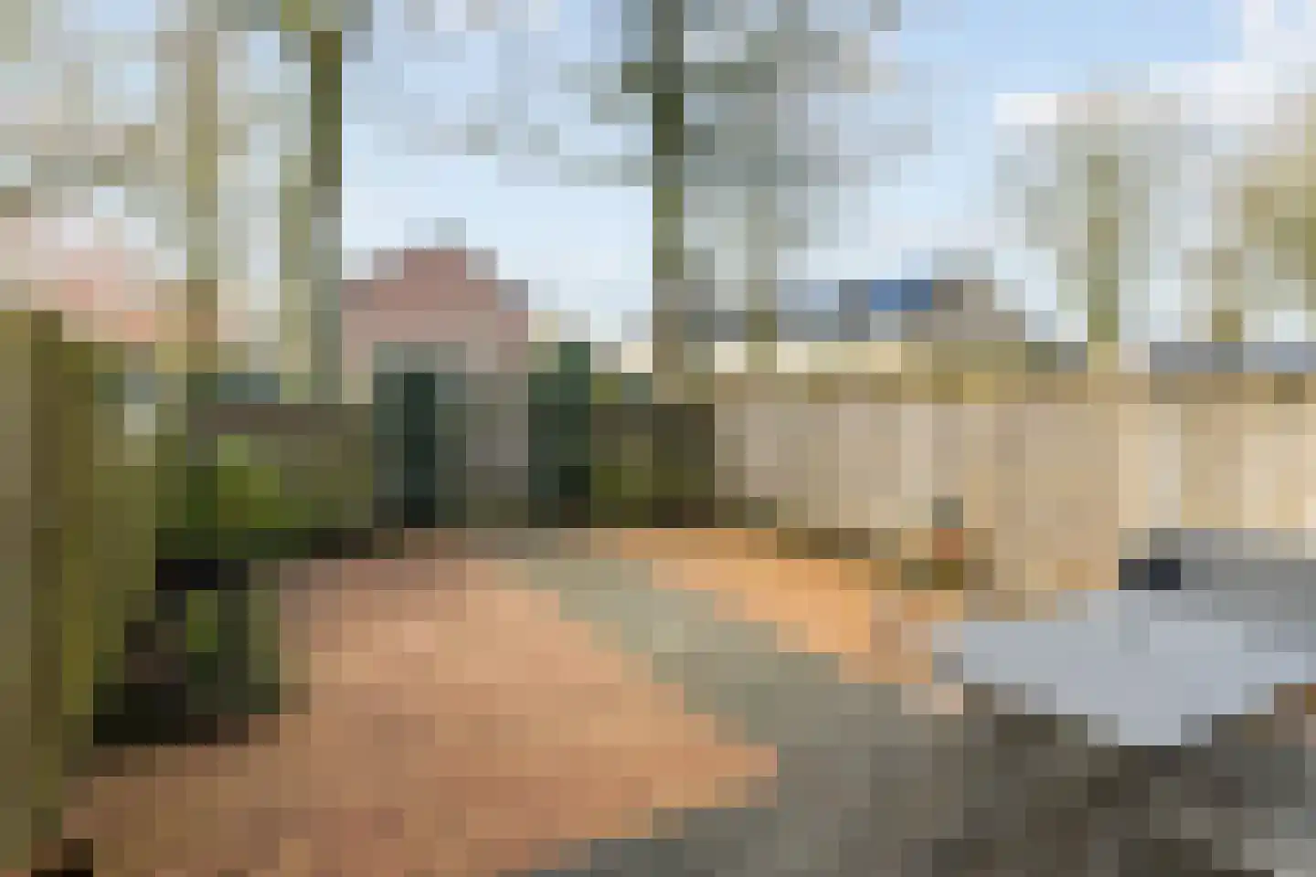 het Woold 72 Raalte thumbnail 28