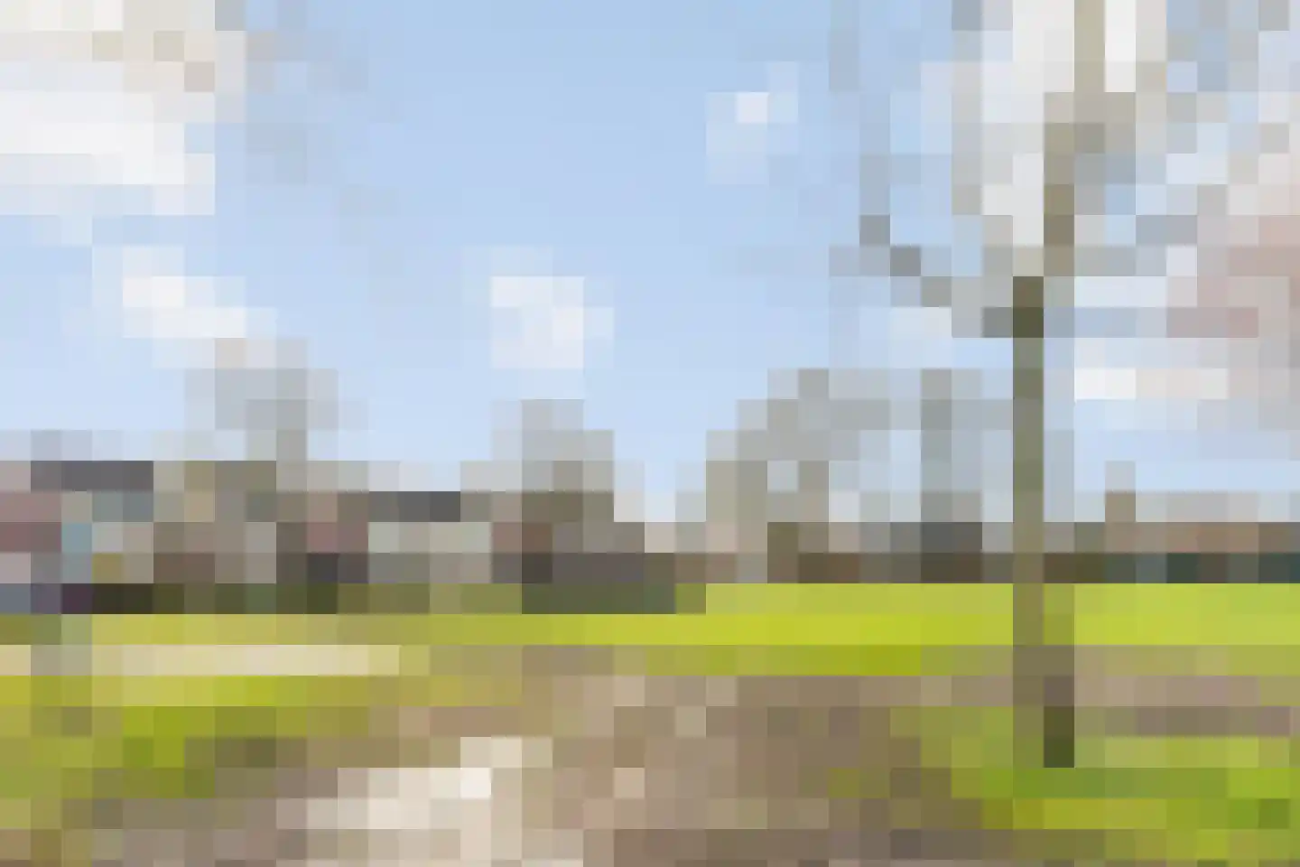 het Woold 72 Raalte thumbnail 29
