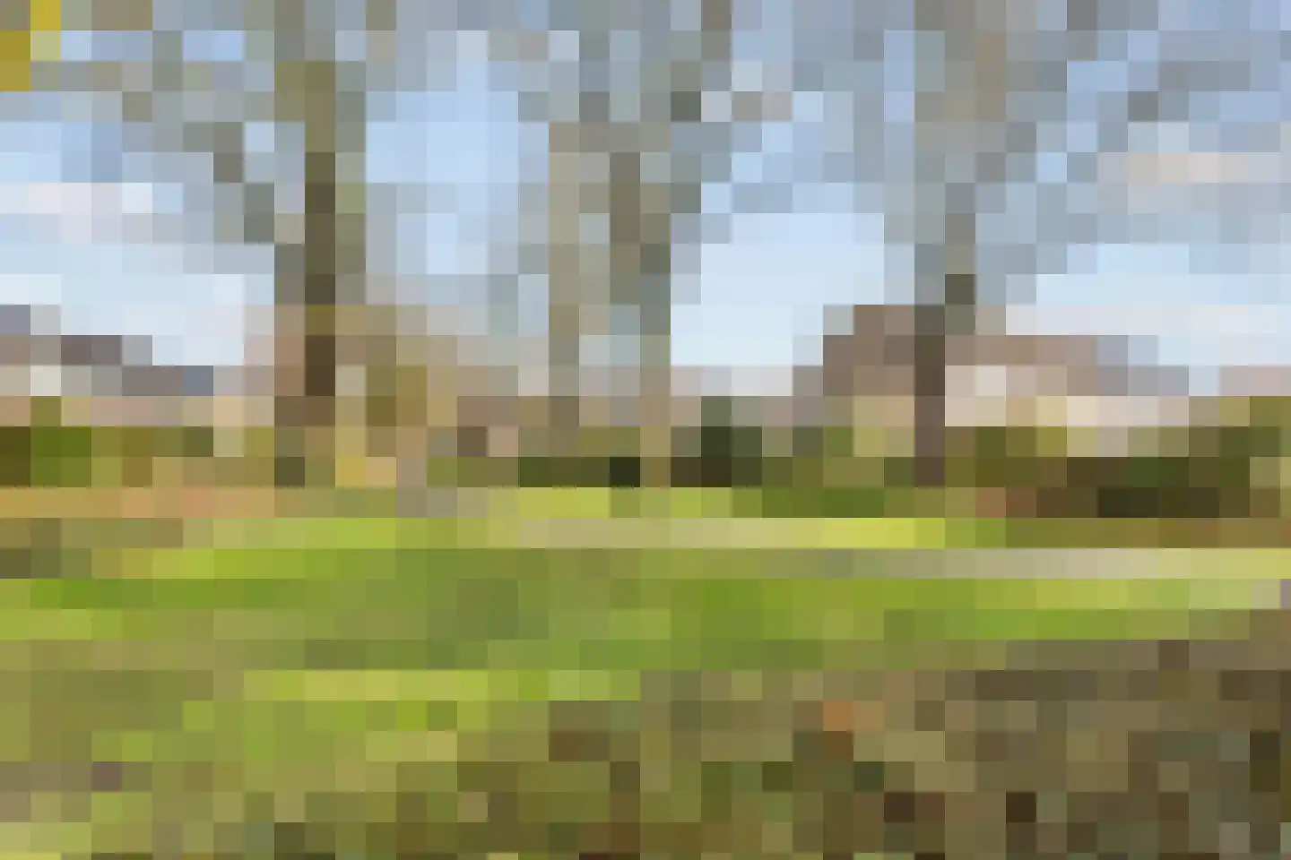 het Woold 72 Raalte thumbnail 30
