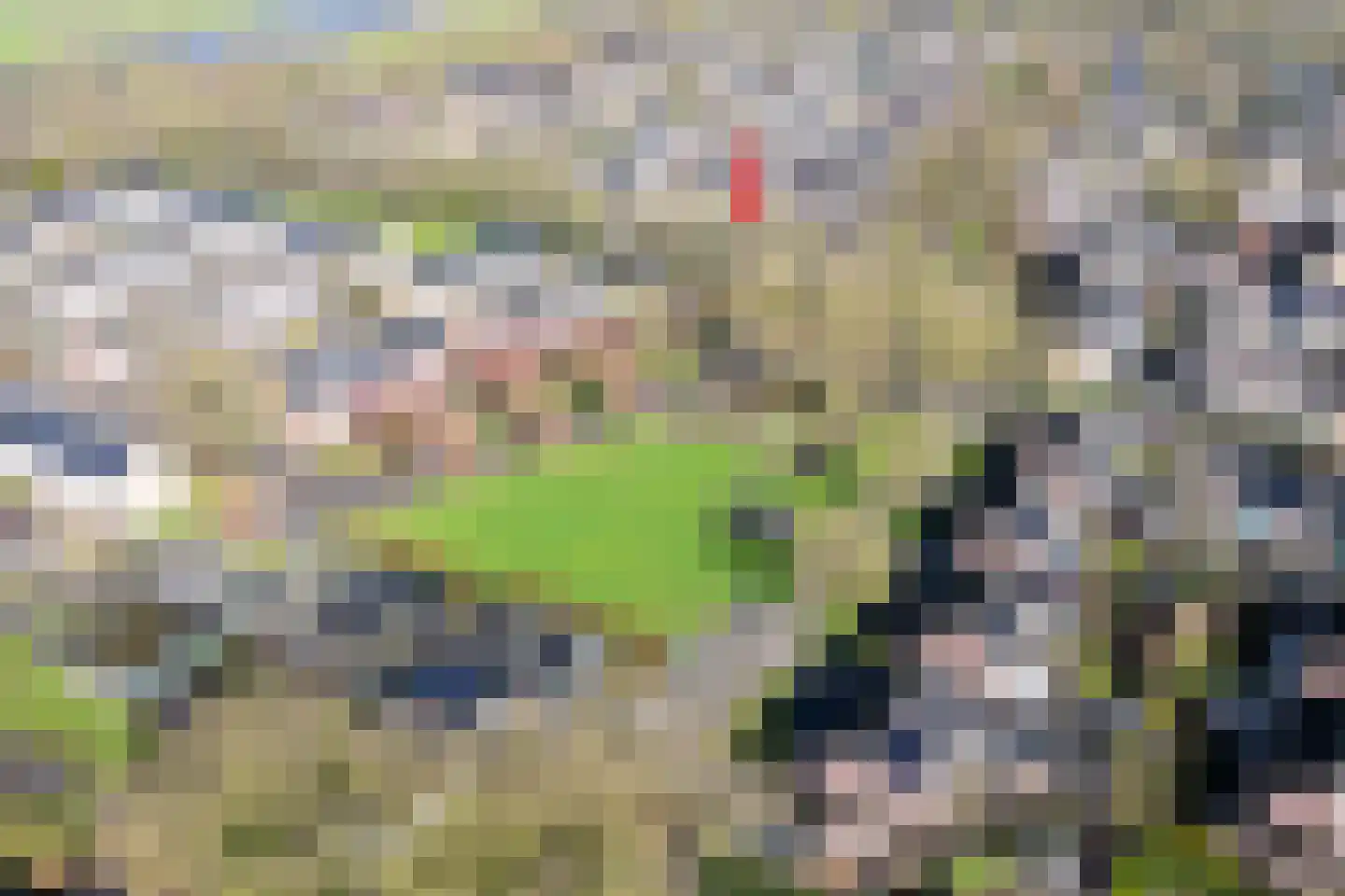 het Woold 72 Raalte thumbnail 4