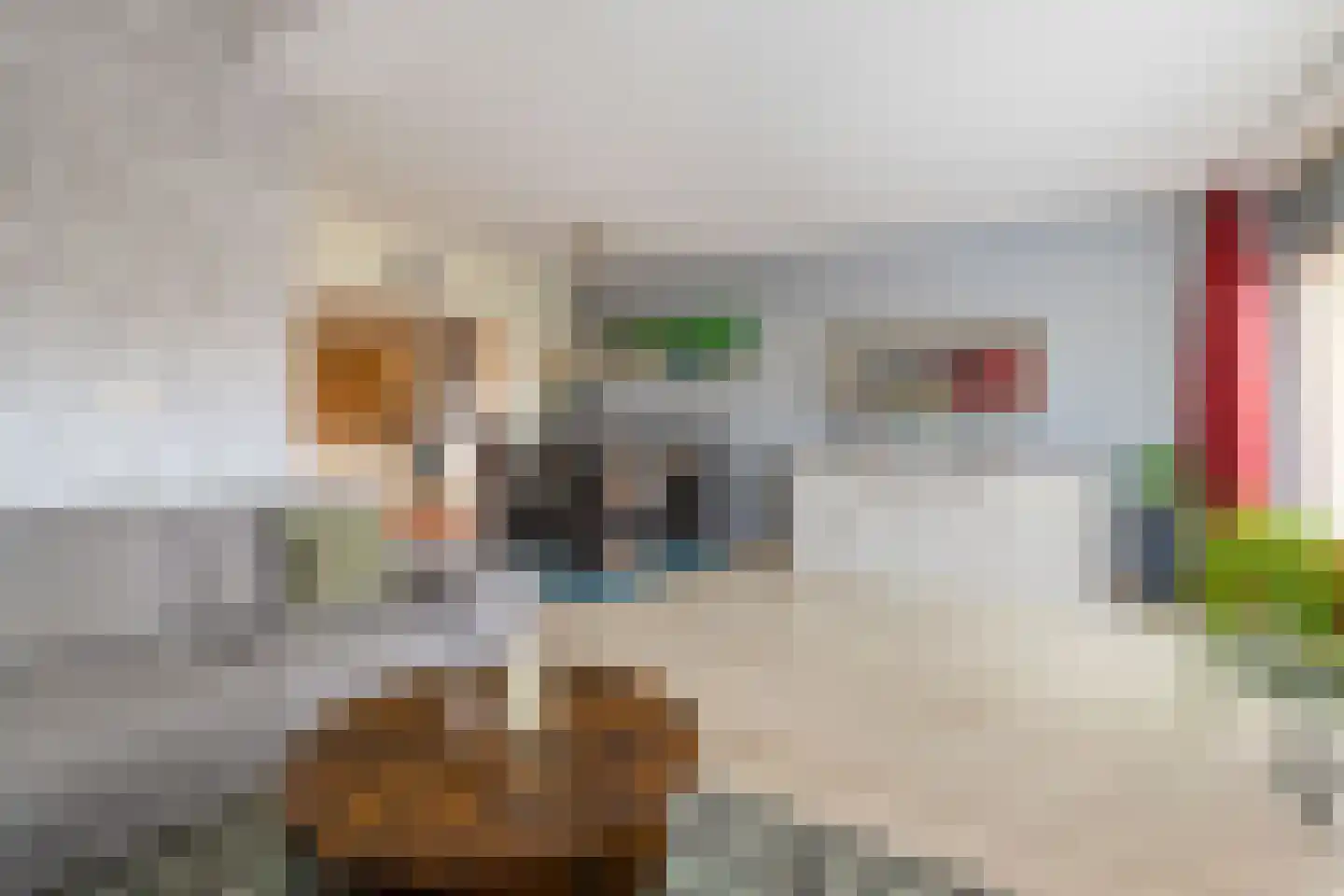 het Woold 72 Raalte thumbnail 7