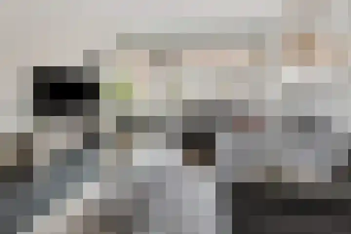 het Woold 77 Raalte thumbnail 10