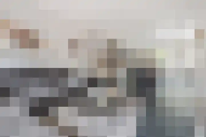 het Woold 77 Raalte thumbnail 11