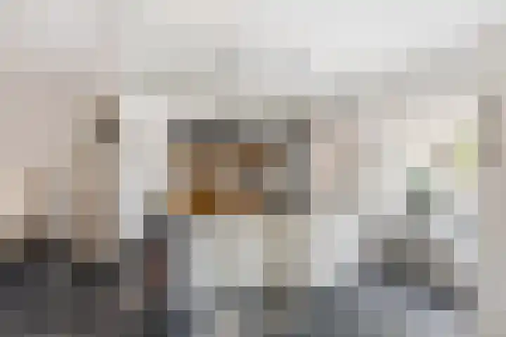 het Woold 77 Raalte thumbnail 13