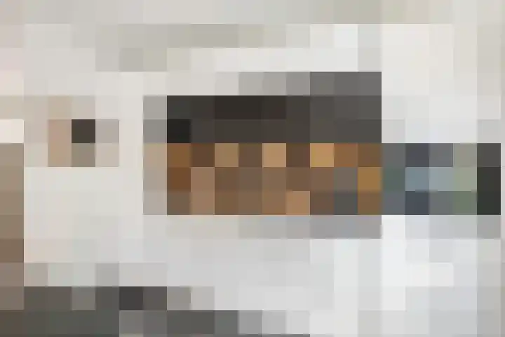 het Woold 77 Raalte thumbnail 14