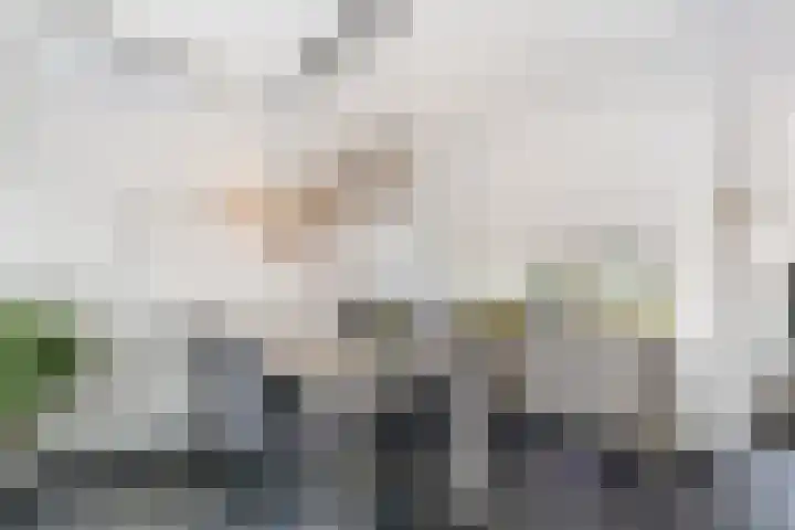het Woold 77 Raalte thumbnail 16