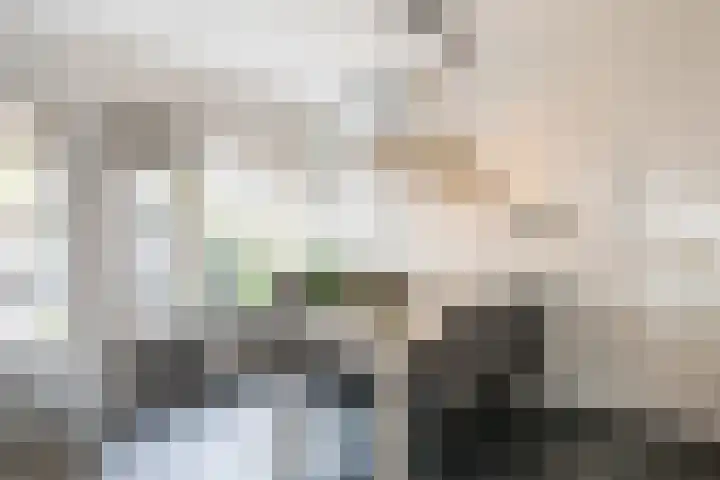 het Woold 77 Raalte thumbnail 17