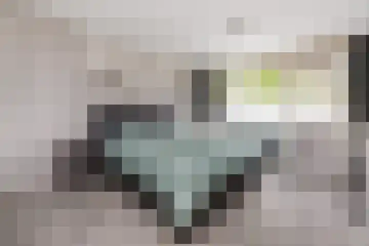 het Woold 77 Raalte thumbnail 19