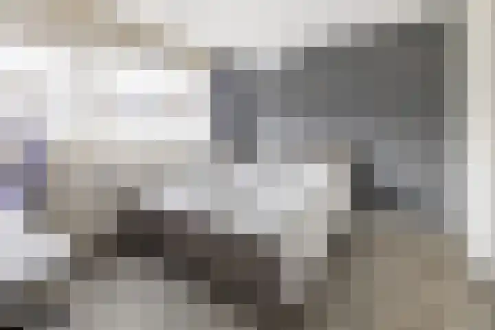 het Woold 77 Raalte thumbnail 21