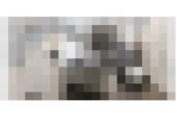 het Woold 77 Raalte thumbnail 25