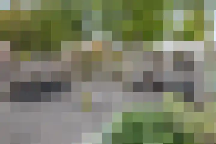 het Woold 77 Raalte thumbnail 30