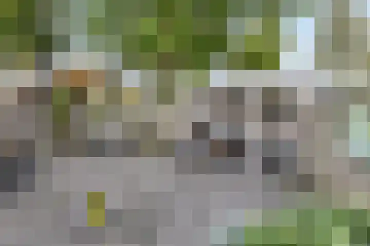 het Woold 77 Raalte thumbnail 31