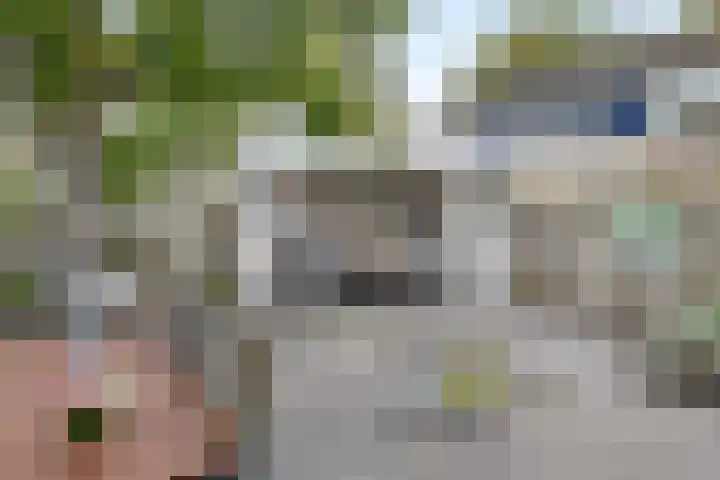 het Woold 77 Raalte thumbnail 32