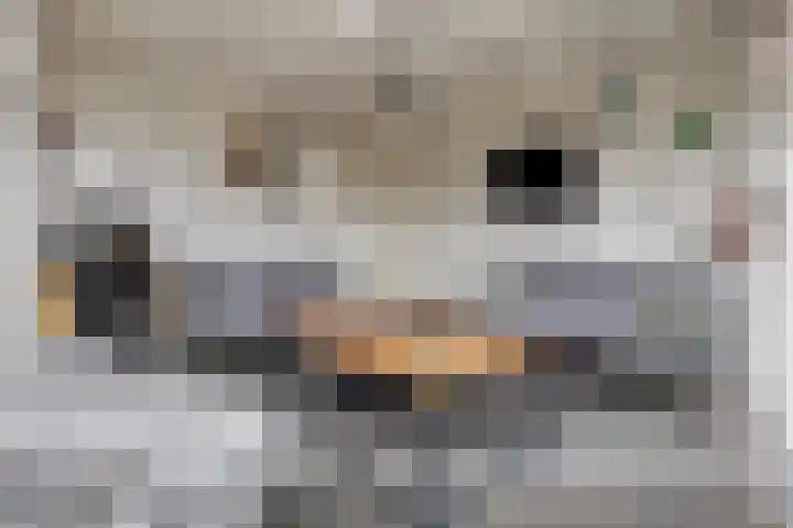 het Woold 77 Raalte thumbnail 33