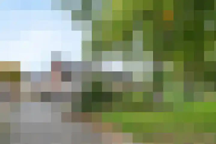 het Woold 77 Raalte thumbnail 37