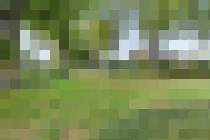 het Woold 77 Raalte thumbnail 38