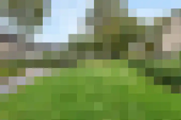 het Woold 77 Raalte thumbnail 39