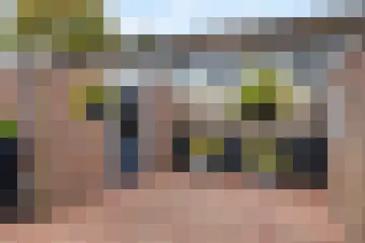 het Woold 77 Raalte thumbnail 5
