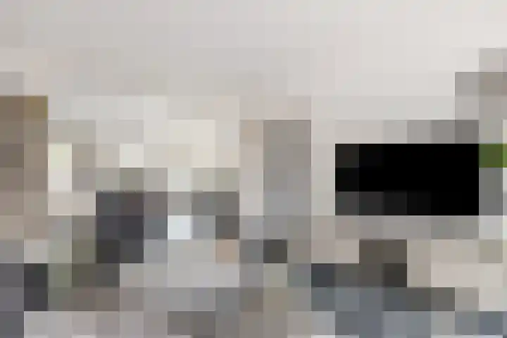 het Woold 77 Raalte thumbnail 7