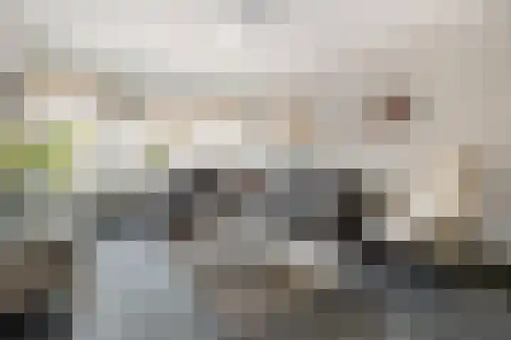 het Woold 77 Raalte thumbnail 9