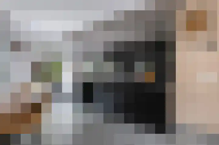 het Woold 82 Raalte thumbnail 12