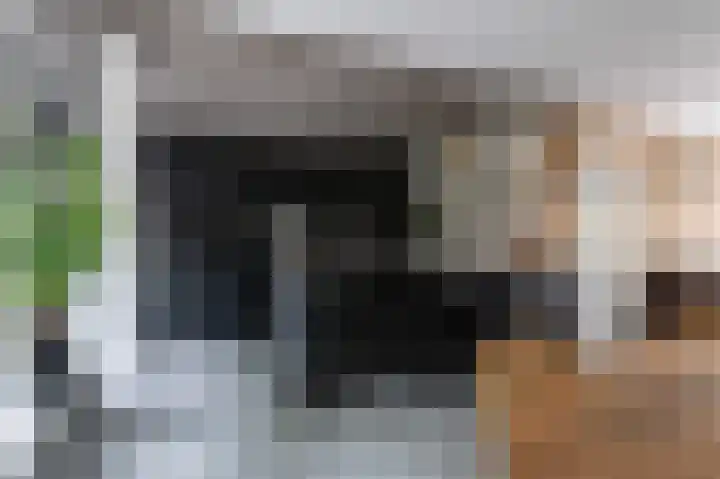 het Woold 82 Raalte thumbnail 13