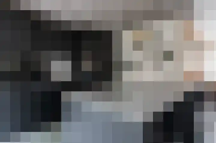 het Woold 82 Raalte thumbnail 14