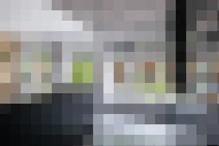 het Woold 82 Raalte thumbnail 16