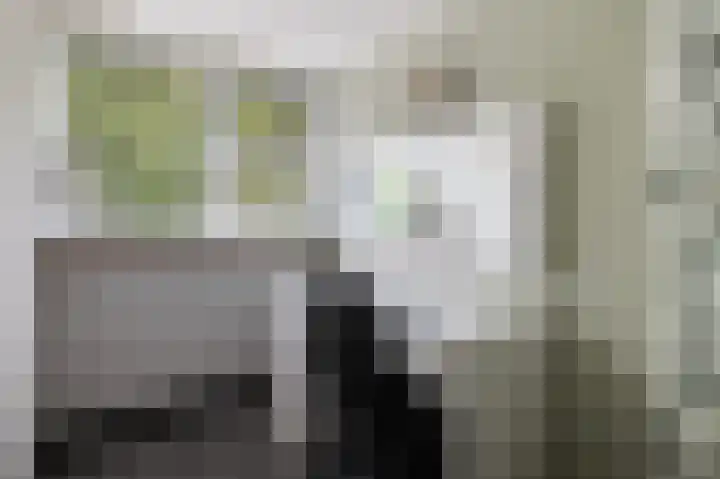 het Woold 82 Raalte thumbnail 30