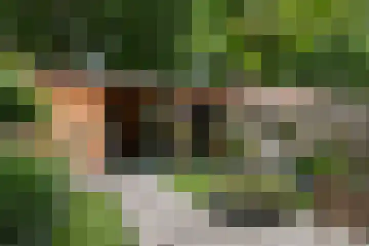 het Woold 82 Raalte thumbnail 32