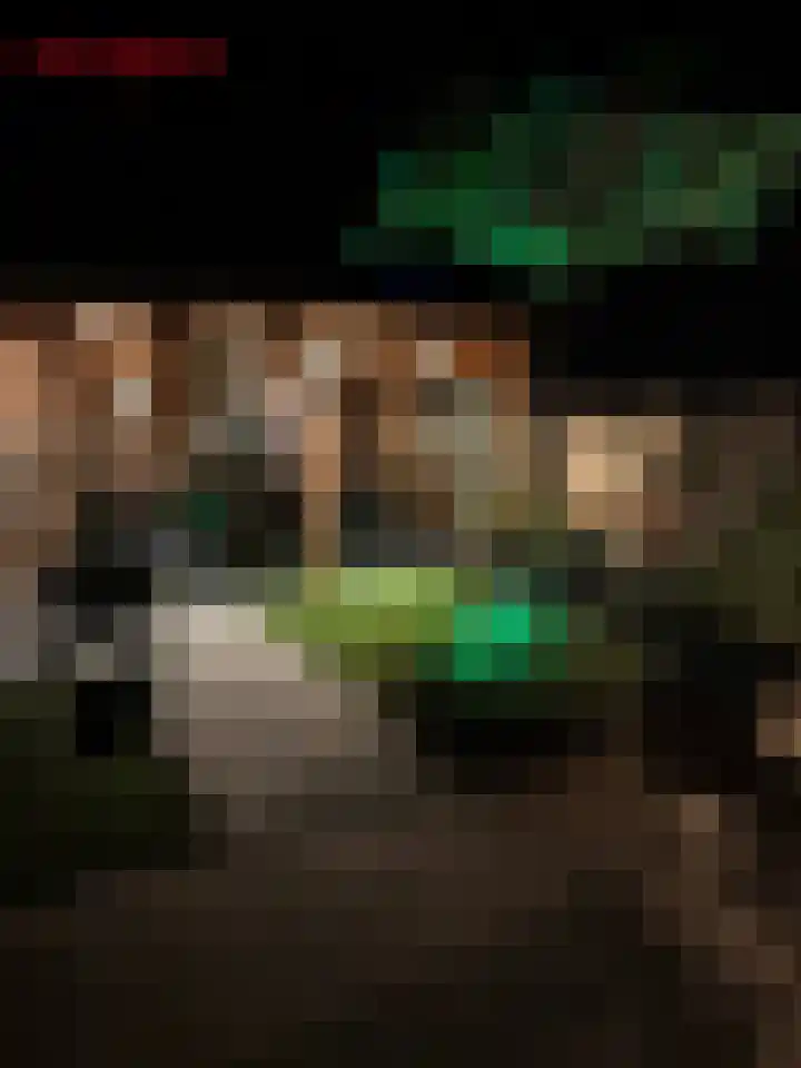 het Woold 82 Raalte thumbnail 33
