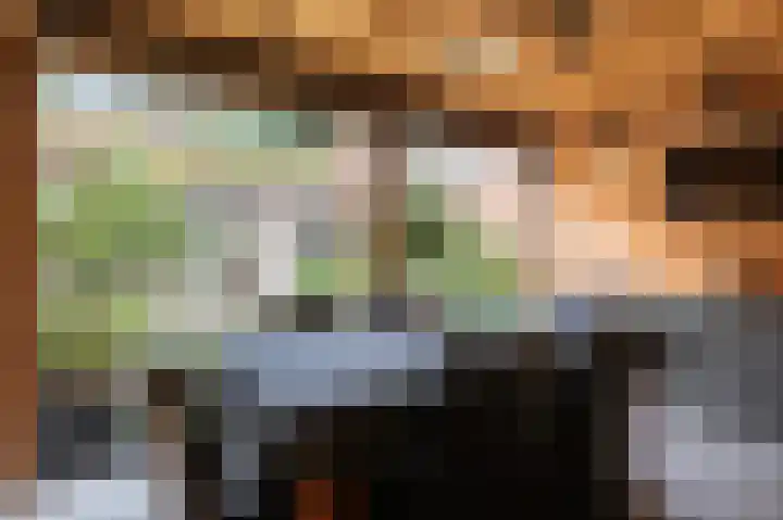 het Woold 82 Raalte thumbnail 35