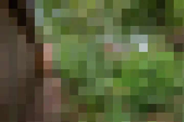 het Woold 82 Raalte thumbnail 37