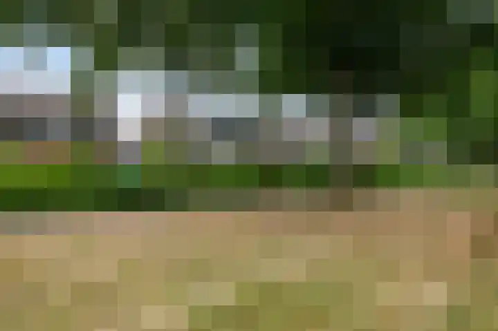 het Woold 82 Raalte thumbnail 38