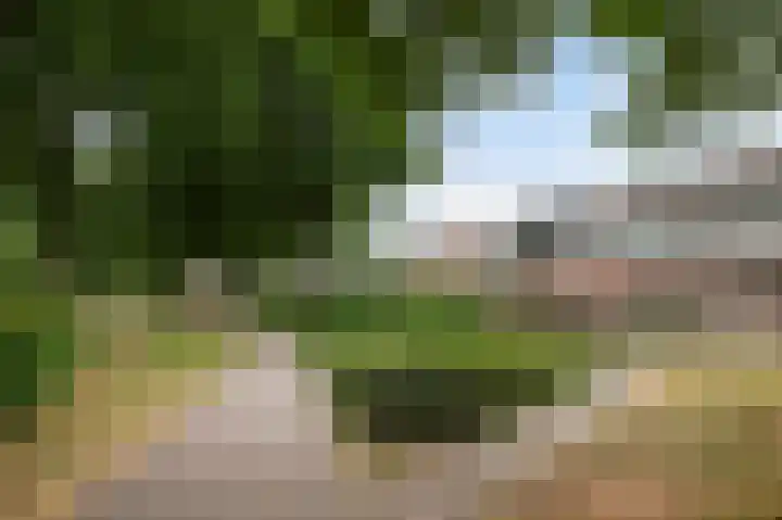 het Woold 82 Raalte thumbnail 39