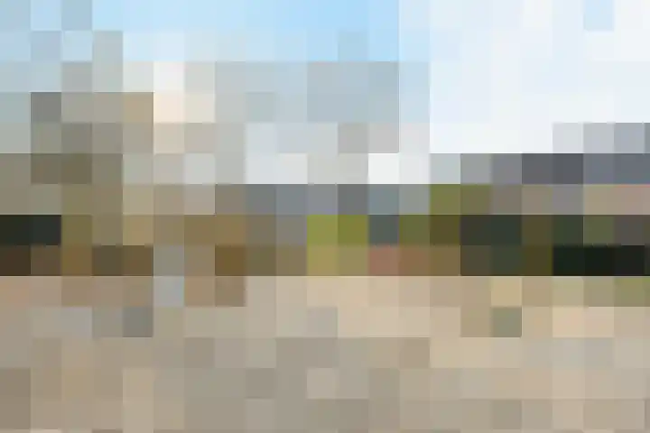 het Woold 82 Raalte thumbnail 40