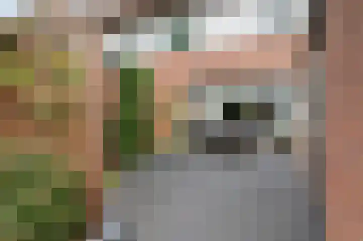 het Woold 82 Raalte thumbnail 5