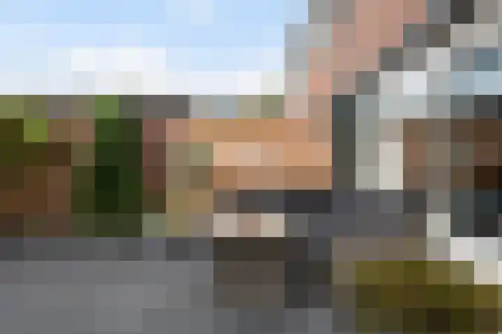 het Woold 82 Raalte thumbnail 7
