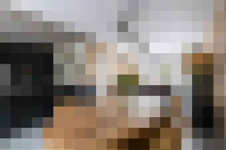 het Woold 82 Raalte thumbnail 8