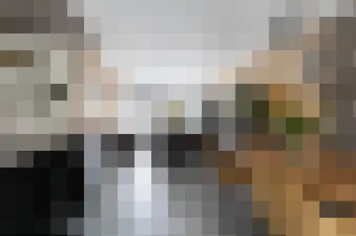 het Woold 82 Raalte thumbnail 9