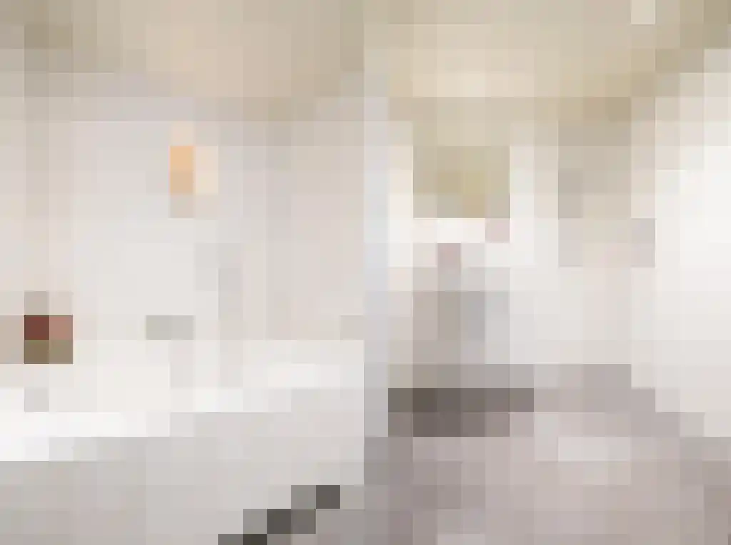 Het Woud 19 Oss thumbnail 15