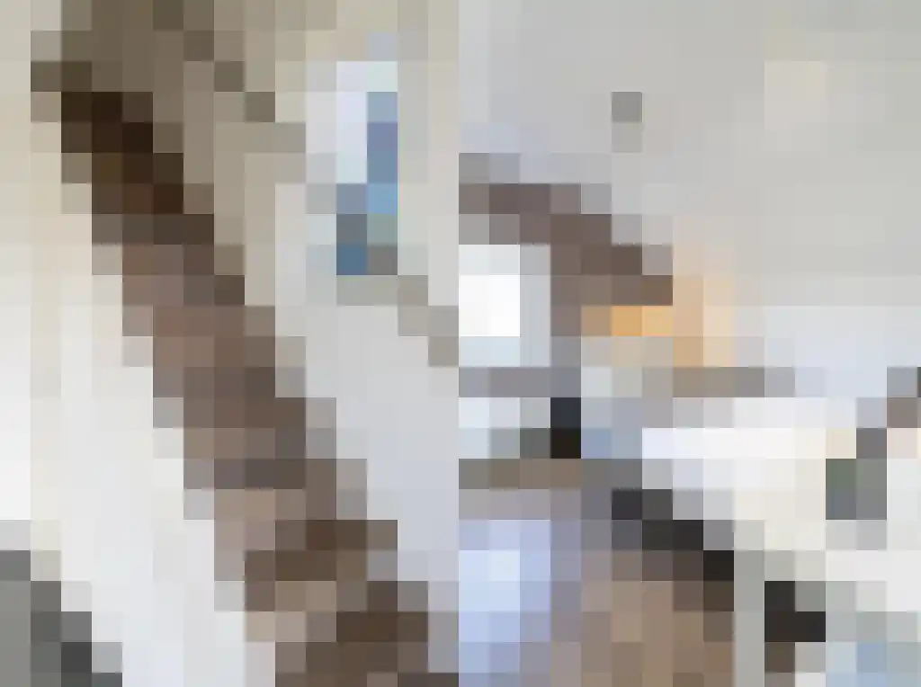 Het Woud 19 Oss thumbnail 16