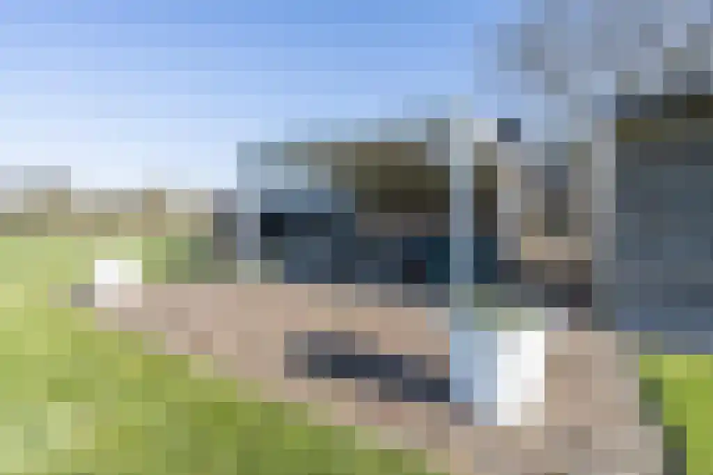Het Woud 19 Oss thumbnail 26
