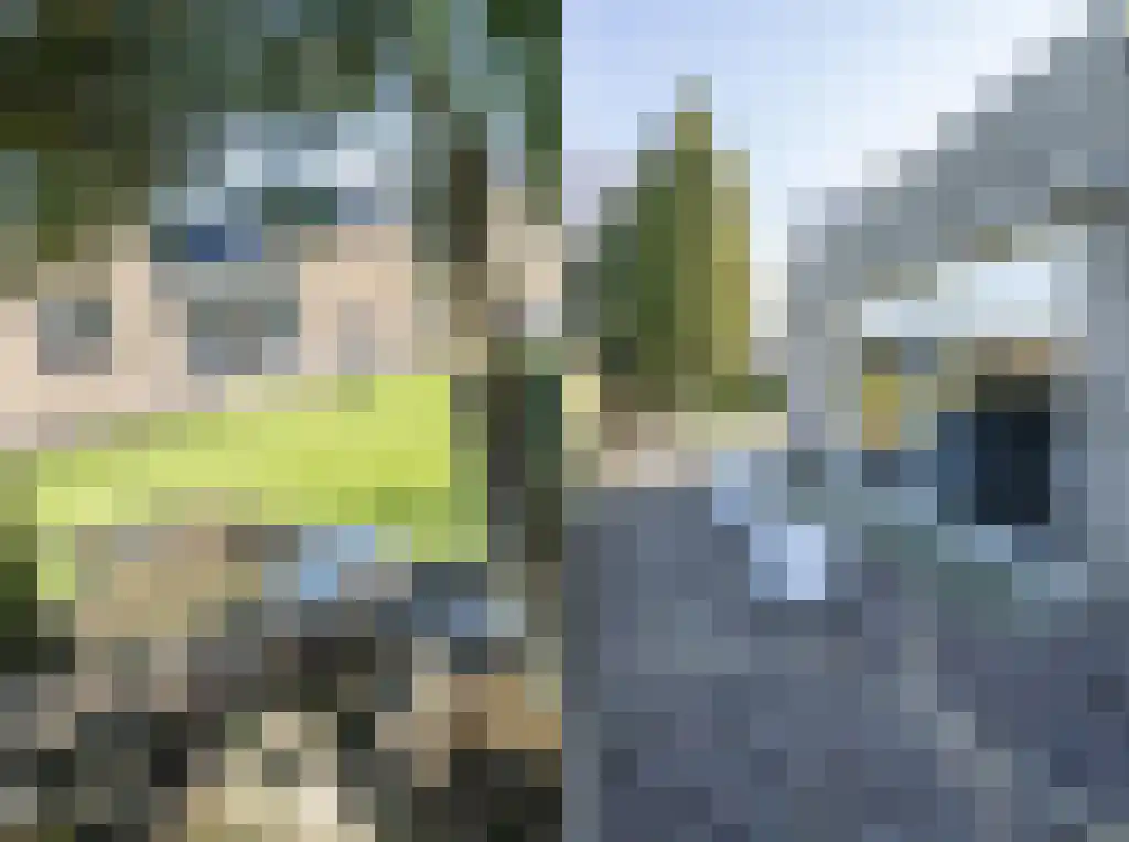 Het Woud 19 Oss thumbnail 32