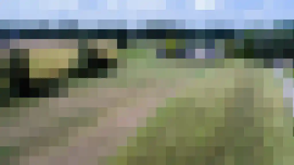 Het Woud 19 Oss thumbnail 34