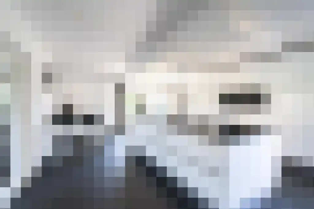 Het Woud 19 Oss thumbnail 8