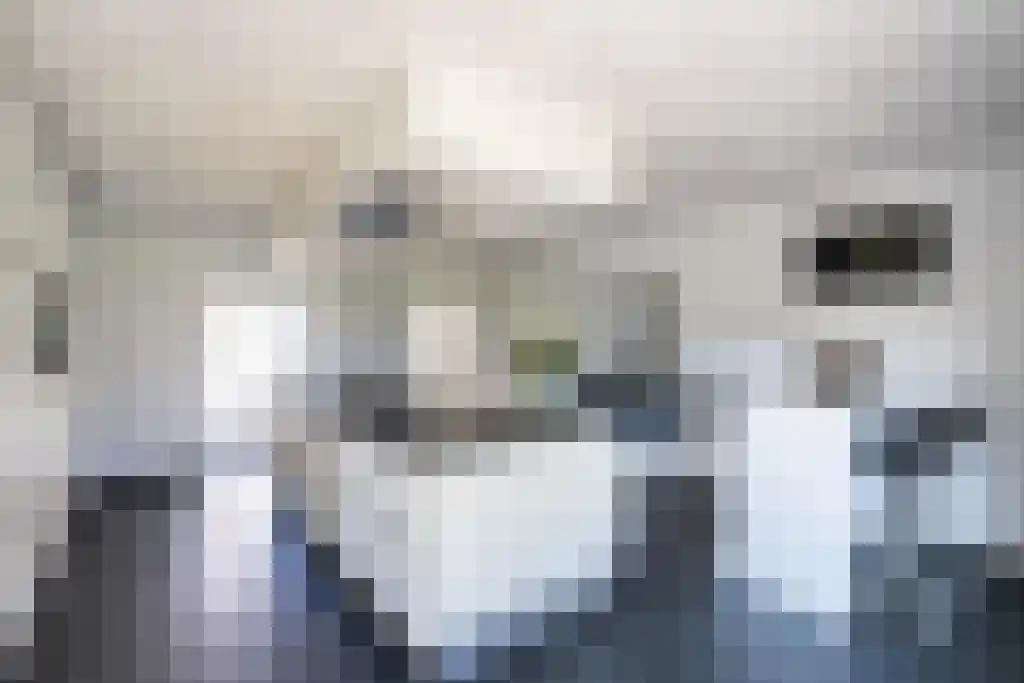 Het Woud 19 Oss thumbnail 9