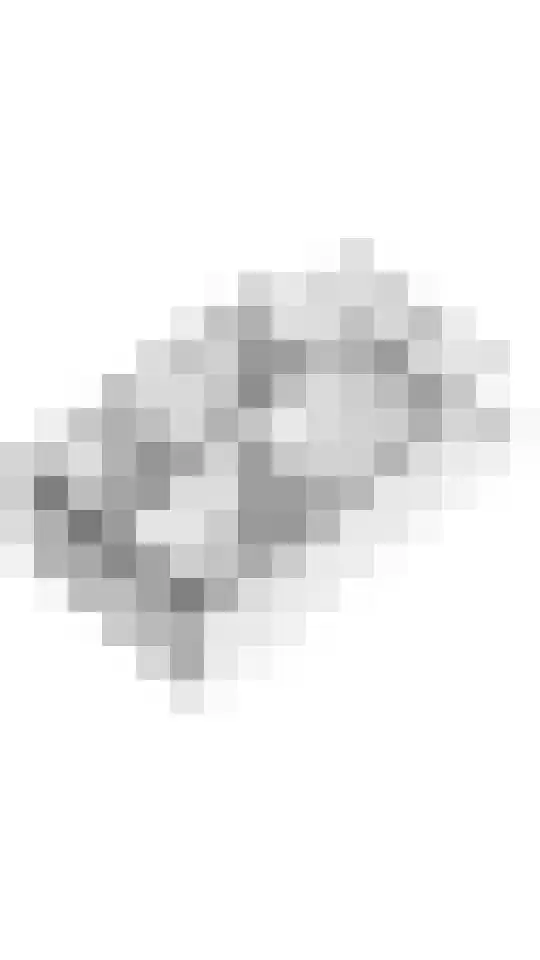 Het Woud 23 Ingen thumbnail 42