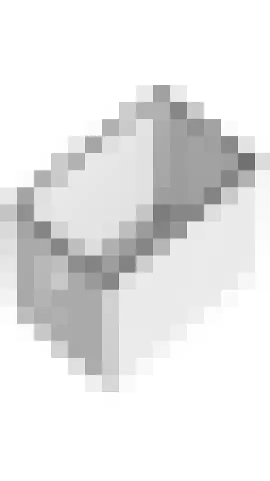 Het Woud 23 Ingen thumbnail 46